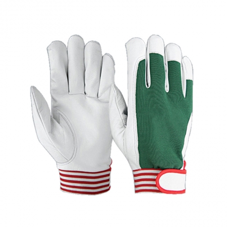 Batting & Fancy Gloves